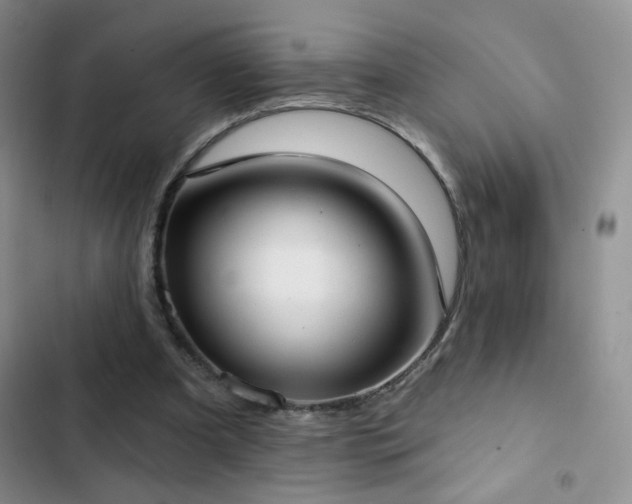 X0000102850297200808181424