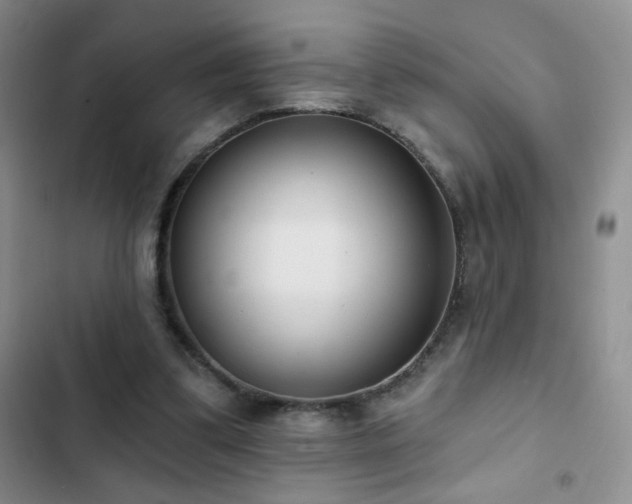 X0000102850299200808181424