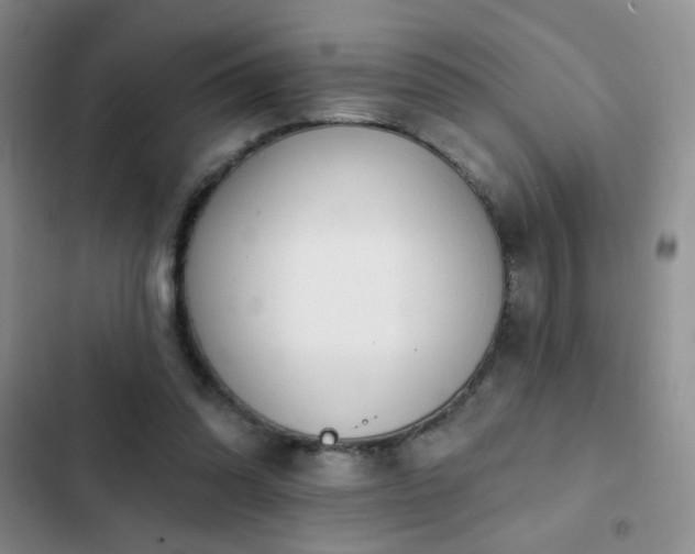 X0000102850302200808181424