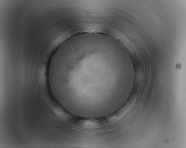 X0000102850303200808181424