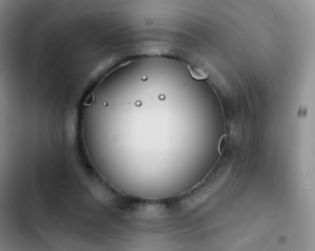 X0000102850304200808181424