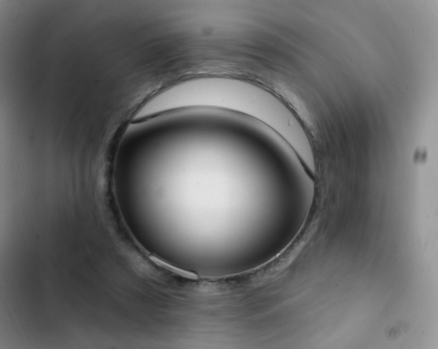 X0000102850305200808181424