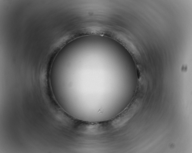 X0000102850306200808181424