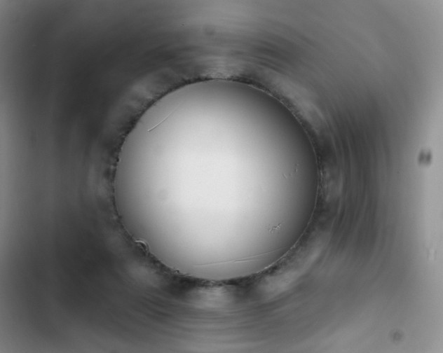 X0000102850307200808181424