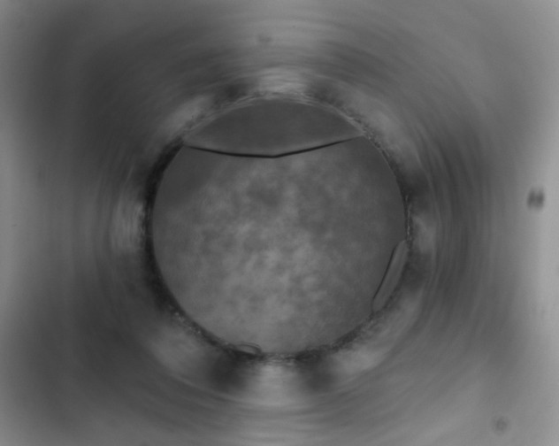 X0000102850308200808181424