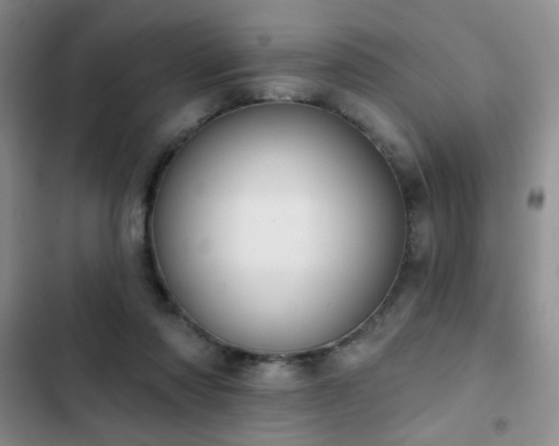 X0000102850310200808181424