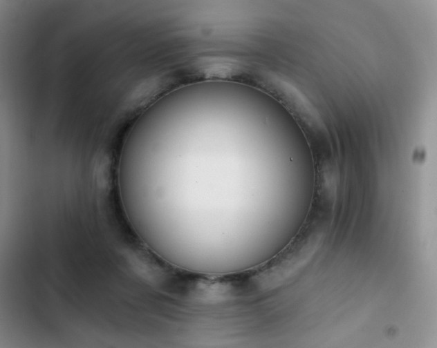 X0000102850311200808181424