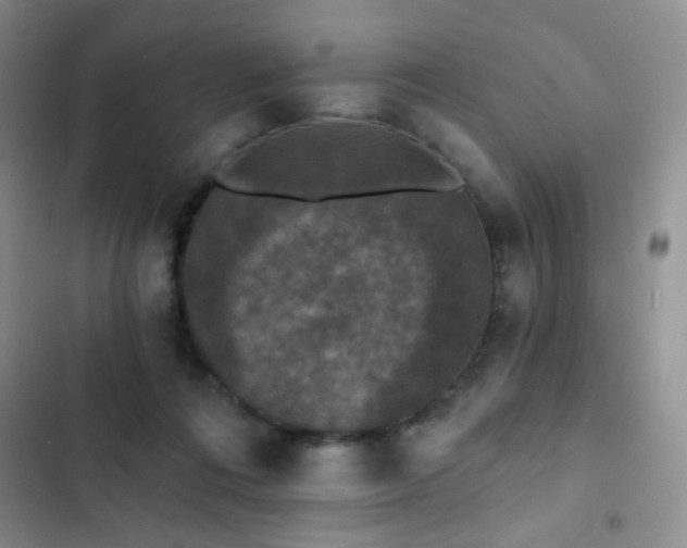 X0000102850312200808181424