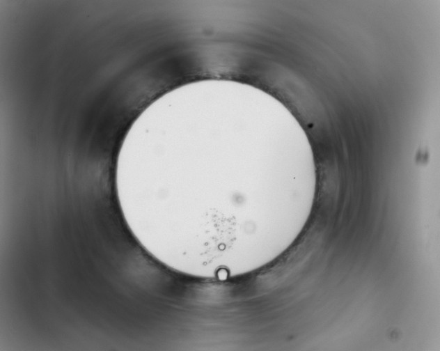 X0000102850313200808181424