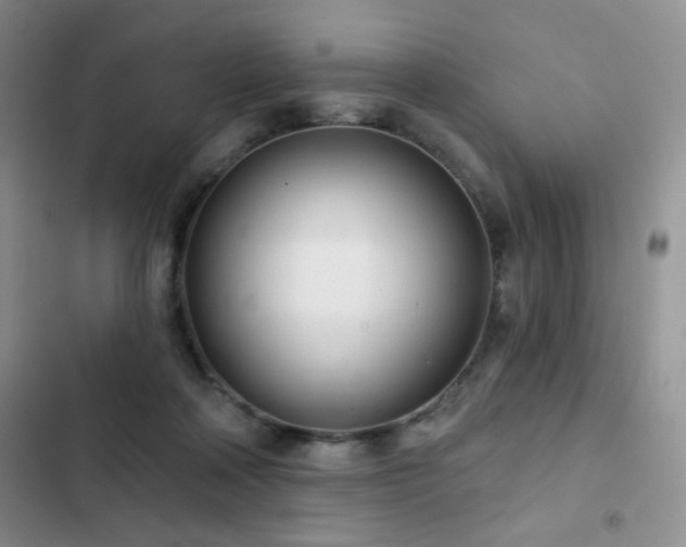 X0000102850314200808181424