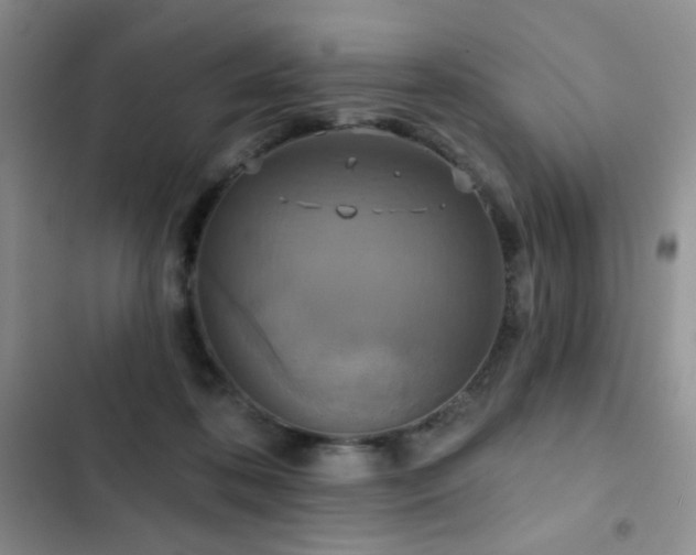 X0000102850316200808181424