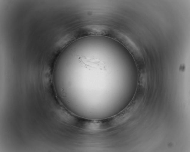 X0000102850318200808181423