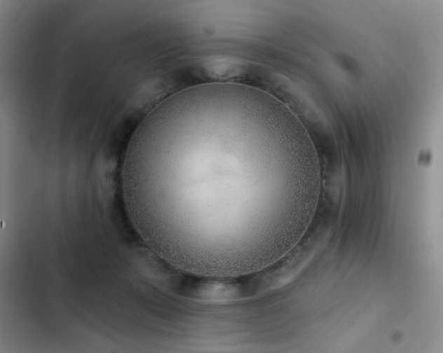 X0000102850319200808181423