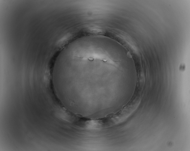 X0000102850320200808181423