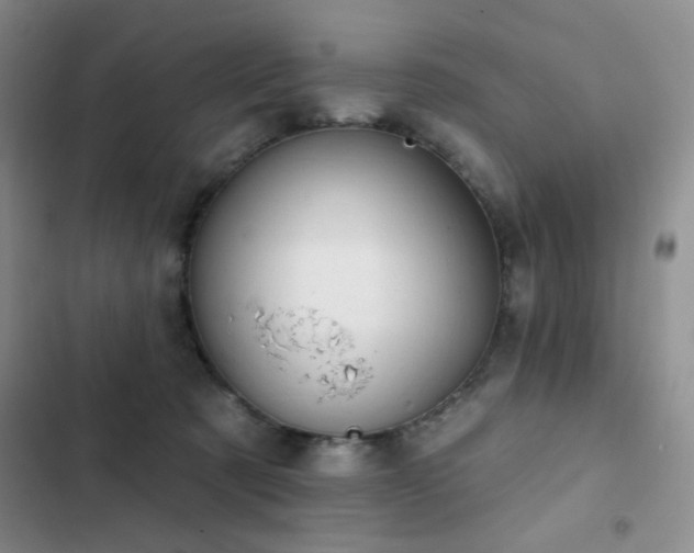 X0000102850321200808181423