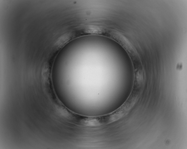 X0000102850322200808181423