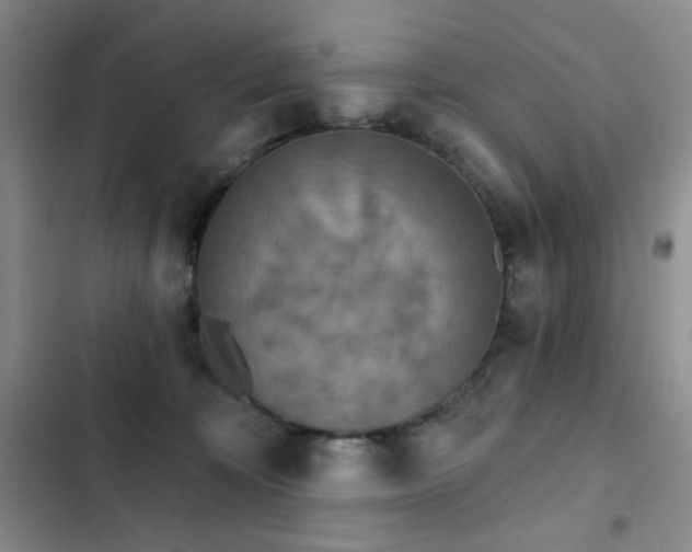 X0000102850324200808181423