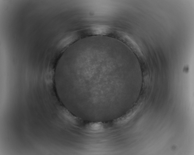 X0000102850325200808181423