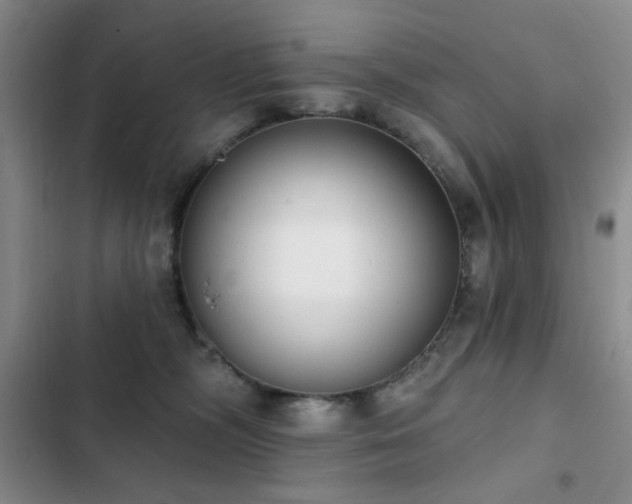 X0000102850326200808181423