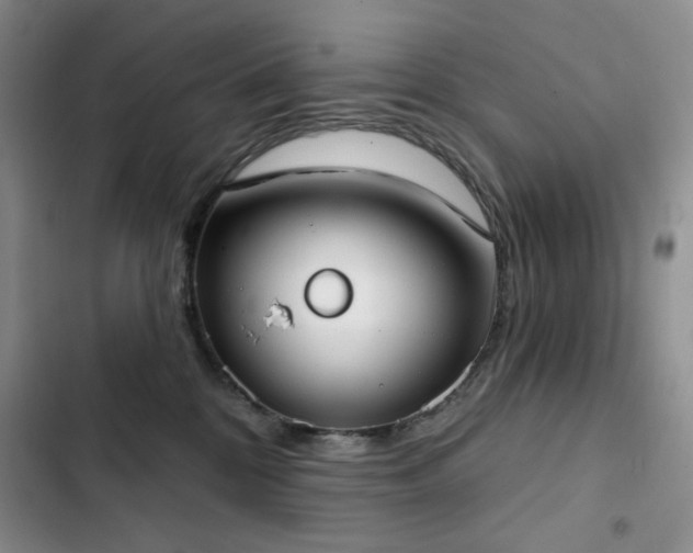 X0000102850328200808181423