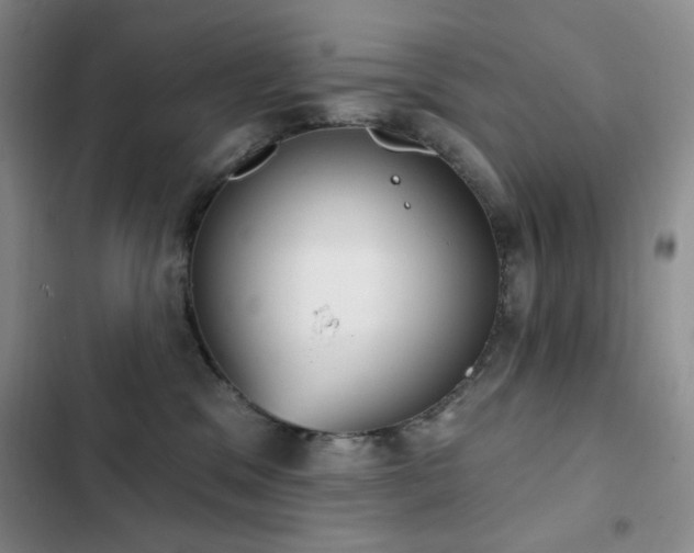 X0000102850329200808181423