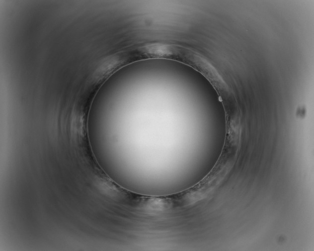 X0000102850330200808181423
