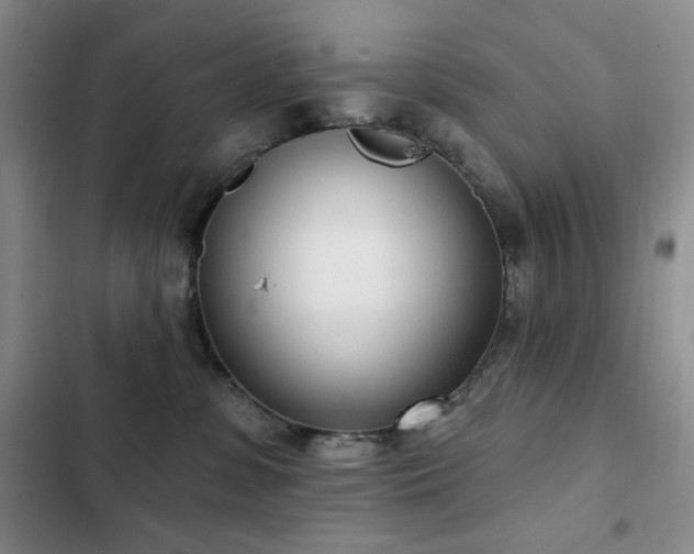 X0000102850331200808181423