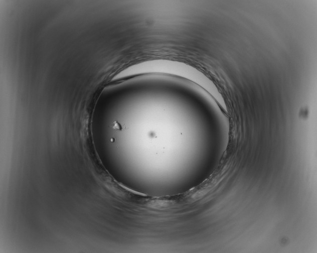 X0000102850332200808181423