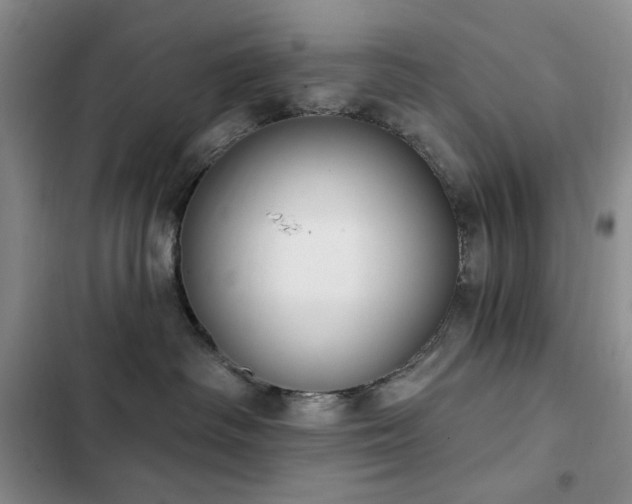 X0000102850334200808181423