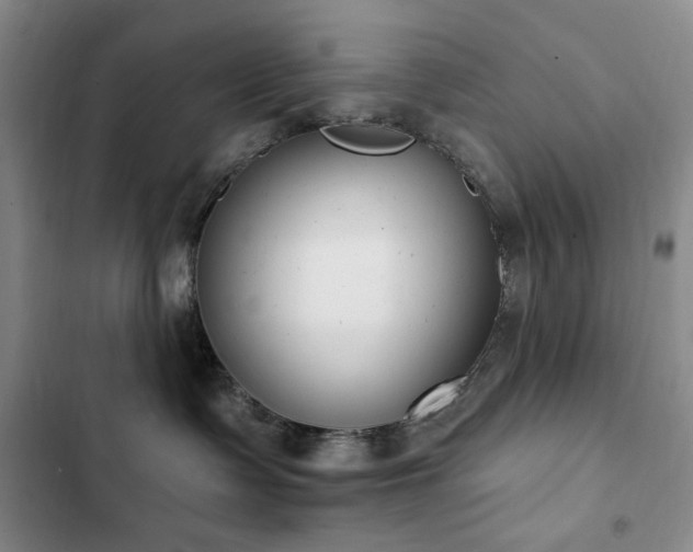 X0000102850335200808181423