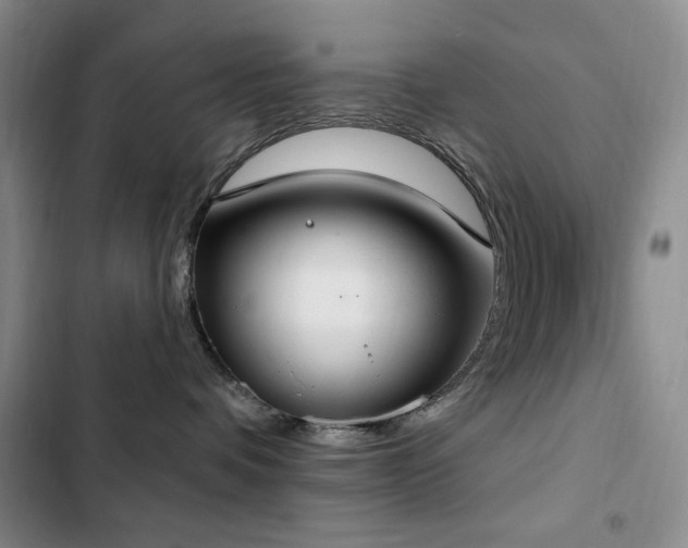 X0000102850336200808181423