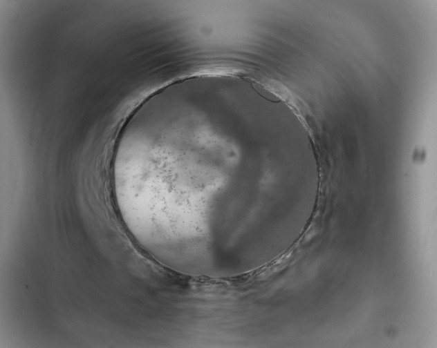 X0000102850337200808181423