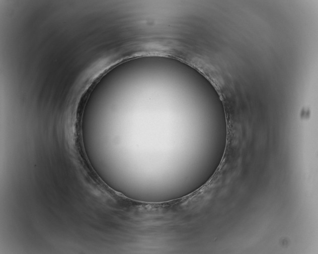 X0000102850338200808181423