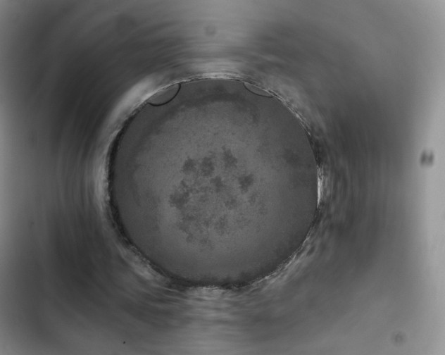 X0000102850339200808181423
