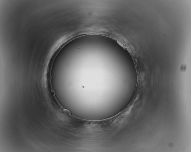 X0000102850340200808181423