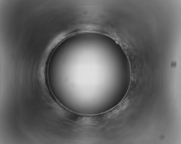 X0000102850341200808181423