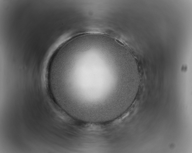 X0000102850343200808181423