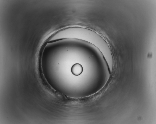 X0000102850344200808181423