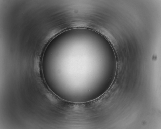 X0000102850345200808181423