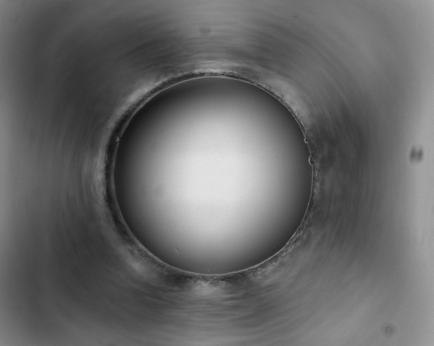 X0000102850346200808181423