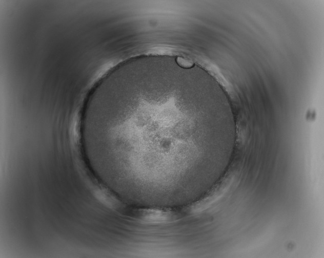 X0000102850347200808181423