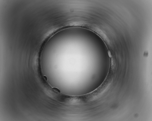 X0000102850348200808181423