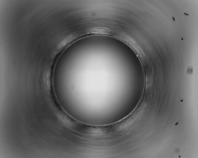 X0000102850349200808181423