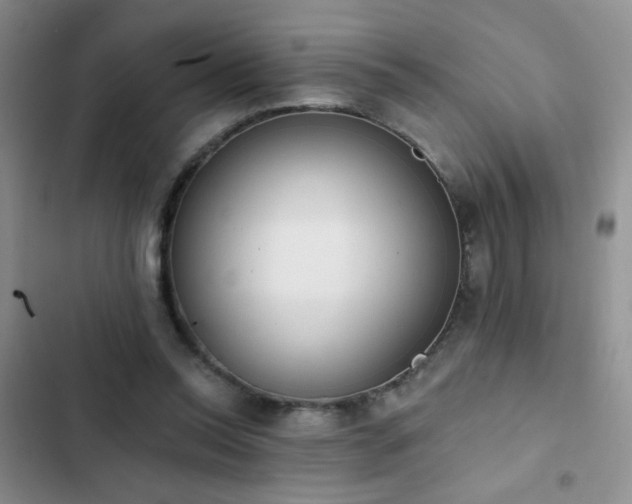 X0000102850350200808181423