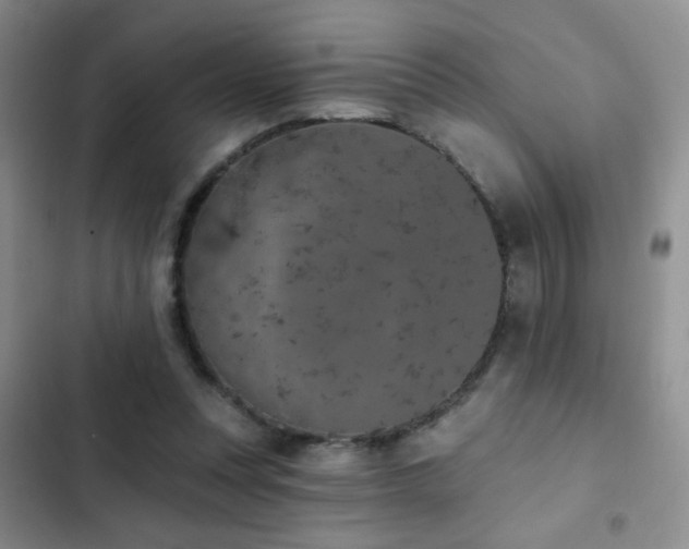 X0000102850351200808181423