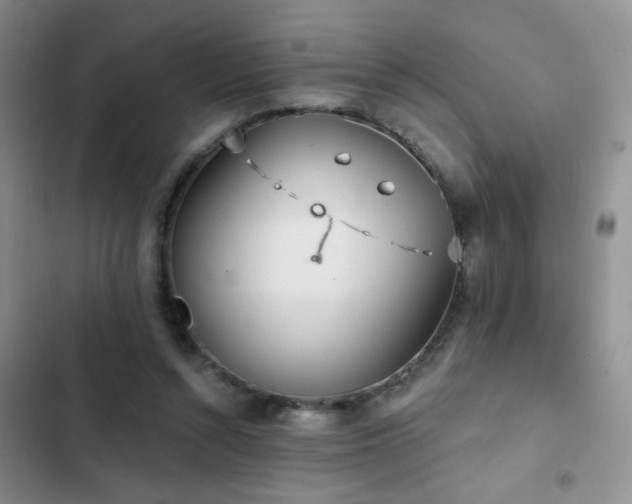X0000102850352200808181423