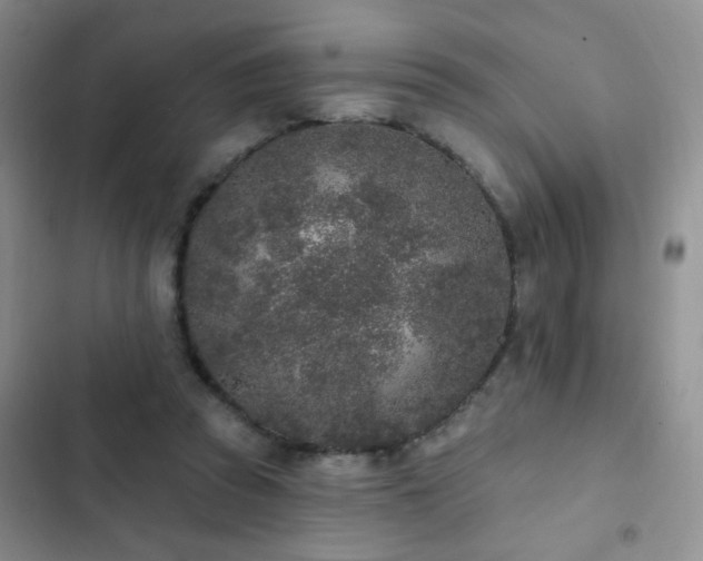 X0000102850353200808181423
