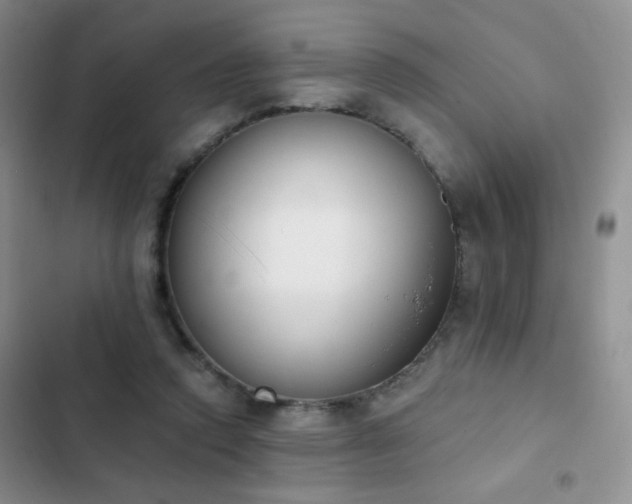 X0000102850354200808181423
