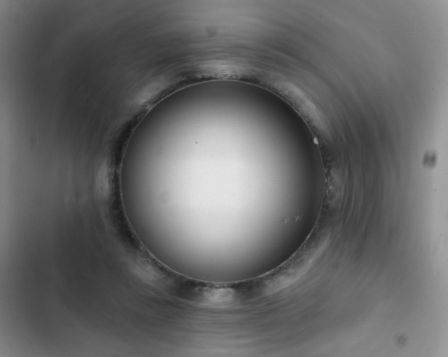 X0000102850355200808181423