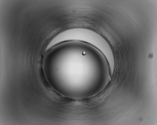 X0000102850356200808181423
